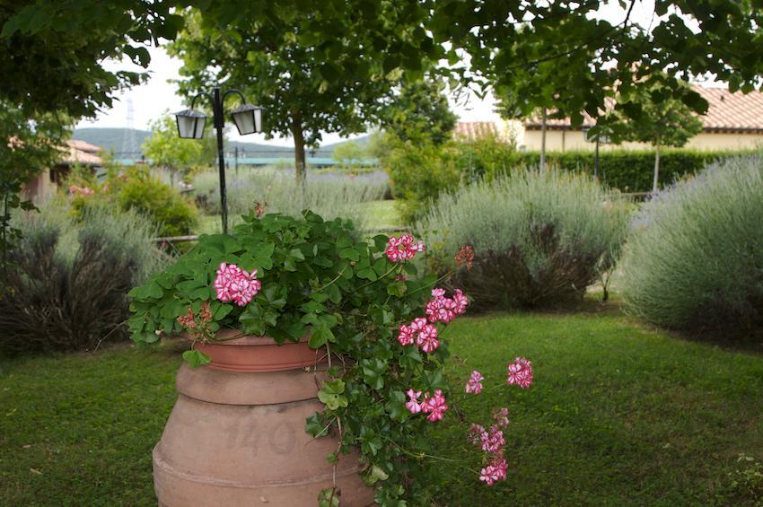 Agriturismo Collepina Amelia Exterior foto